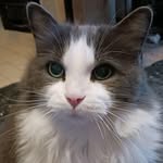Kim Ethier - @kimberkae64362 - Instagram