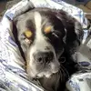 kim ewing - @kim.ewing1 - TikTok