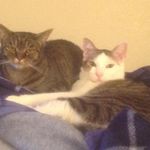 Kim Ezell - @kim_ezell_38 - Instagram