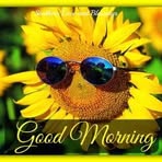 Kim Ezell - Facebook