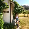 Kim Fairbotham - @kimfairbiz - TikTok