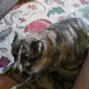 kimfairchild856 - @kimfairchild856 - TikTok