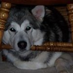 Kim Farrier - @farrierk - Instagram