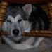 Kim Farrier - Facebook