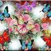 Kim Flagg - Facebook