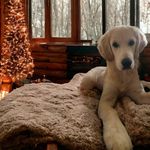 Kimberly Murray Flagg - @kimberlysflagg - Instagram