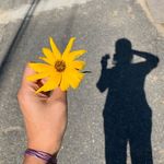 @kimfolk_kr - Instagram