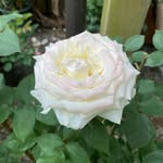 @kimfood121 - Instagram