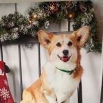 Kim Fortney - @kjfort99 - Instagram