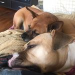 Kim Fraley - @cmoonforus - Instagram