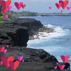 Kim Frederick - @kimfrederick1 - TikTok