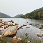 Kim Fullerton - @kdfullerton - Instagram
