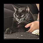 Kim Galbraith - @kg20042006 - Instagram