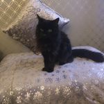 Kim Galbraith - @kim.galbraith59 - Instagram