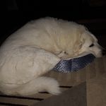 Kim Gammon - @kimgammon.57 - Instagram