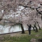 Kim Garton - @viewfrommyphone - Instagram