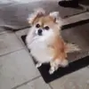 Kimberlee Wingeier - @kimberleewingeier1 - TikTok