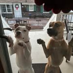 Kim Callaghan-Giannone - @kim.giannone - Instagram