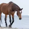 Kim Giese - @kim2144 - TikTok