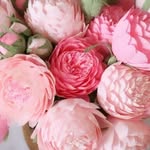 Pink Peonies Boutique New & Resale - @gilreathkimberlym - Instagram