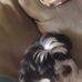 Kim Goodin Levy - Facebook