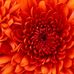 Kim Goolsby - Facebook