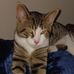 Kim Goolsby - Facebook