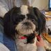 Kim Goudy - Facebook