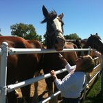 Kim Grass - @kagey27 - Instagram