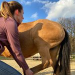 Kim Graßnick - @pferdetherapie_kimgrassnick - Instagram