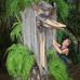 Kim Prentice Grass Tree Studio - Facebook