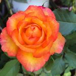 Kim Grayson - @kimngrayson - Instagram