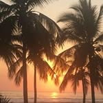 Kim Greenbaum Lewis - @kim.g.l - Instagram