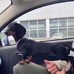Kim Gresham - @mandaudemur - Instagram