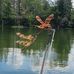 Kim Greulich - Facebook