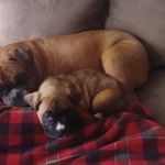 Kim Greulich - @kim.greulich.3 - Instagram