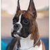 Kim Wysong Greulich - Facebook