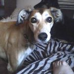 Kim Grice - @kim.grice08 - Instagram