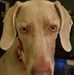 Kim Grimsley - Facebook