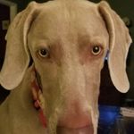 Kim Grimsley - @kim.grimsley.161 - Instagram