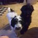 Kim Haas - Facebook