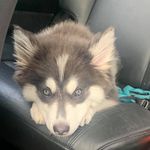Kim Haller - @khaller3310 - Instagram