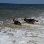 Kim Haller - @kimkat5367 - Instagram