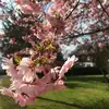 kim haller - @_k_i_m_820 - TikTok