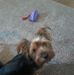 Kim Hallmark - Facebook