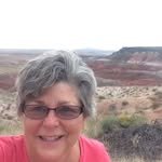 Kim Johnson Halpin - @justagalatthebeach - Instagram