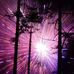 Kim Halverson - Facebook