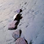 Kim Halverson - @kim.halverson.39 - Instagram
