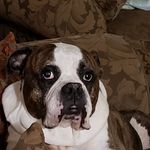Kim Hamby - @hamby2748 - Instagram