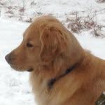 Khamerpetdoc - @kimhamer - Instagram